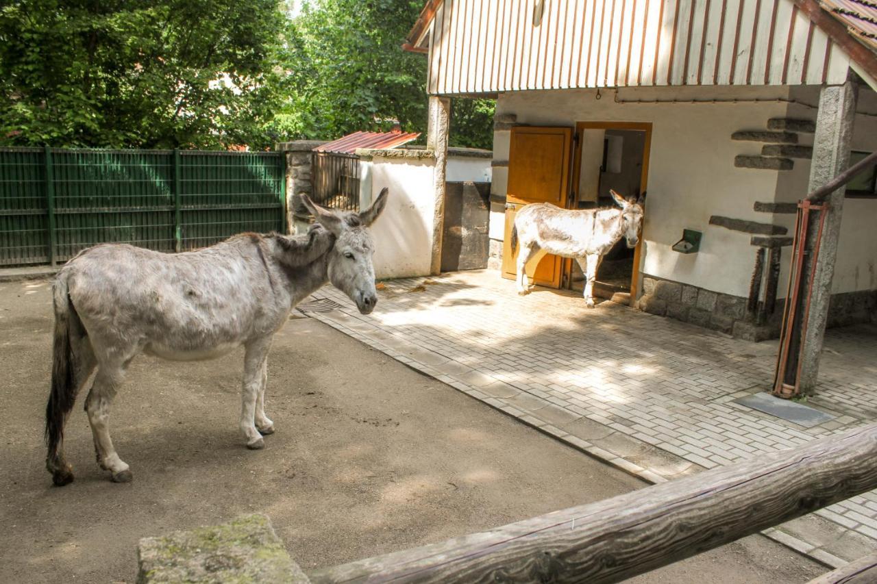 Bischofswerda Ferienwohnung Familienfreundlich Seniorengerecht Esterno foto